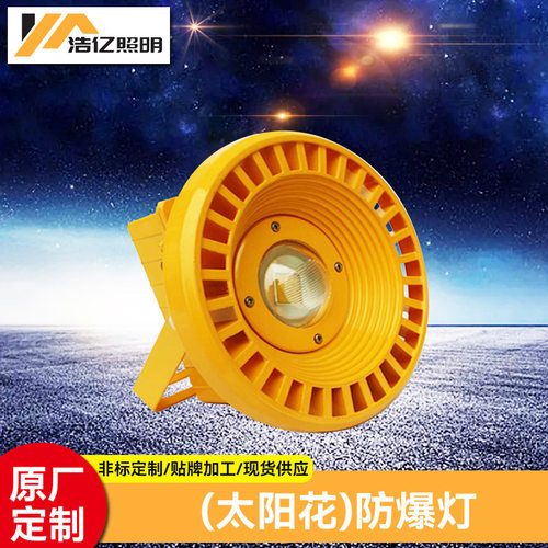 LED圆形防爆灯 投光灯50W200W泛光灯 加油站石油车间化工厂防爆灯