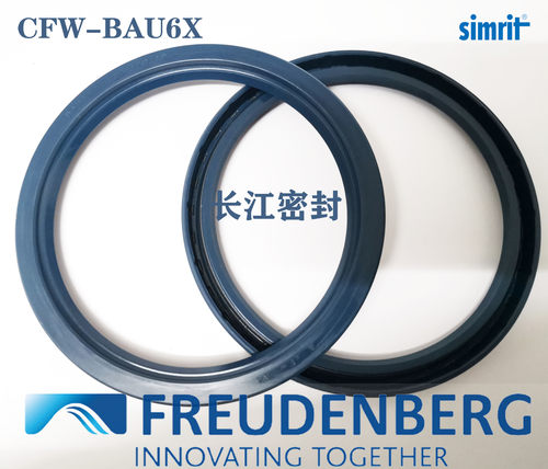 德国进口CFW骨架油封BAU6X2 110-140-12 simrit 单唇骨架油封