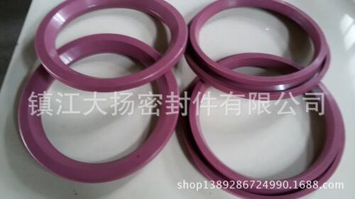克莱德圆顶阀密封圈插入式 DVS DN250耐高温o型圈硅胶密封件