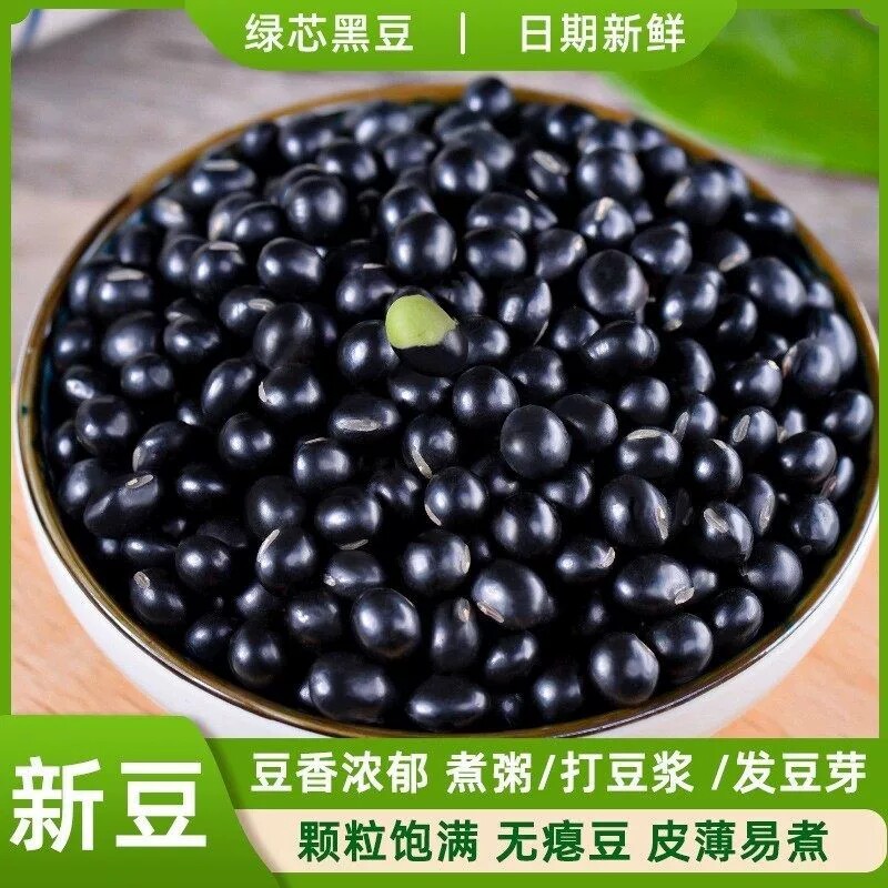农家黑豆绿芯新货五谷杂粮绿心黑豆打豆浆专用青仁心乌豆子发豆芽