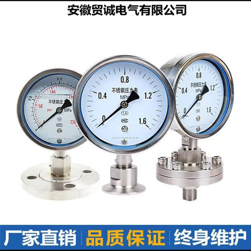 Y-150BF/Z/MF（316）/316全不锈钢隔膜压力表（0-0.6MPa）