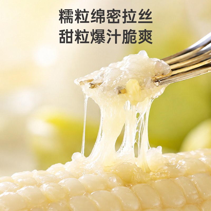 李小糯白甜糯玉米无添加非转基因