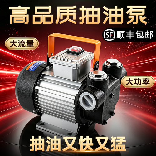 12V/24V/220V大功率电动抽油泵