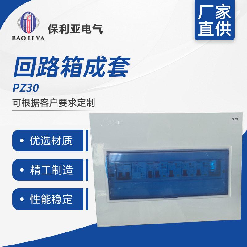 PZ30回路箱成套家用明装pz30暗装强电箱总成空气开关防水保护盒子