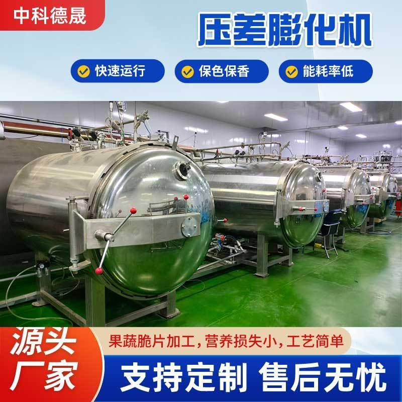 苹果脆片加工设备草莓脆片压差真空膨化设备压差膨化设备制造商