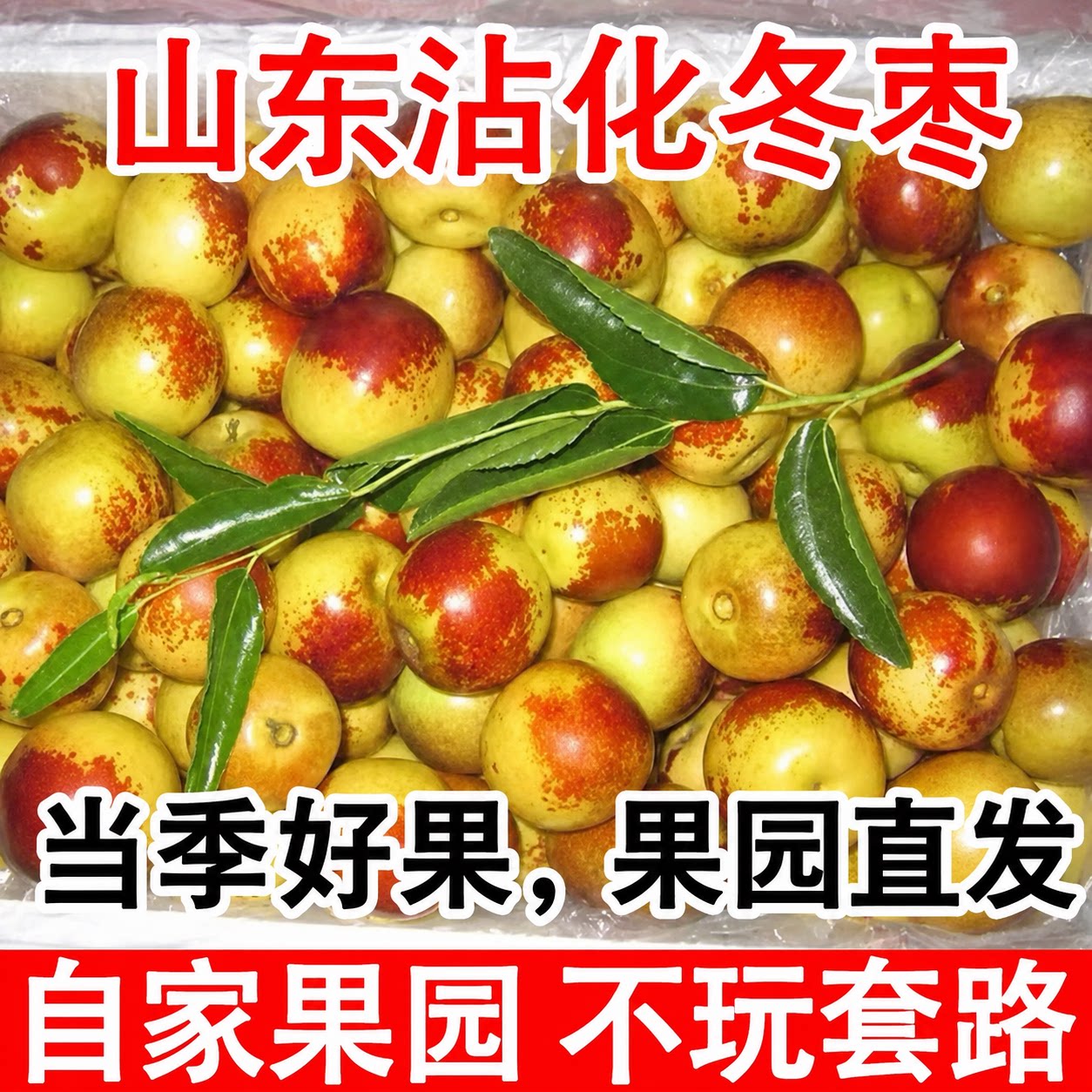 山东沾化冬枣新鲜现摘脆甜大果5斤整箱当季水果产地直发包邮
