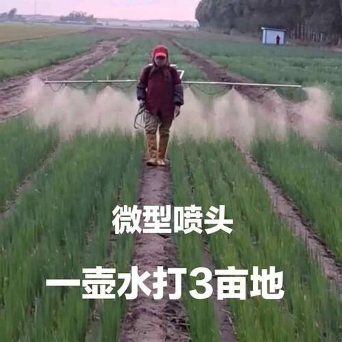 加厚白钢喷雾器打药支架神器架子折叠多喷头打药杆一整套背负式