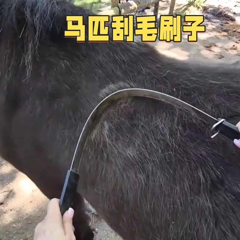 马具多功能马汗刮马用背部去毛按摩器洗澡刮毛刷马术用品清洁刷子