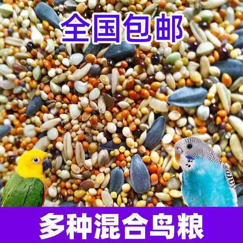 混合鸟粮鸟食鸟料鹦鹉饲料虎皮玄凤牡丹五色黍子食物谷子250g带壳