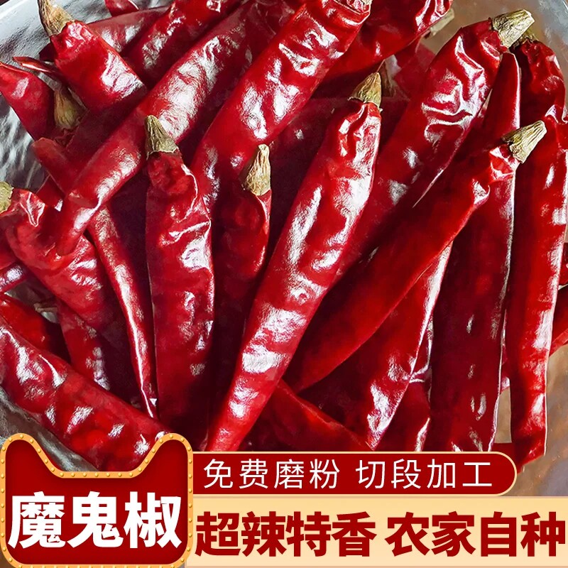 印度特辣特香魔鬼干辣椒变态辣