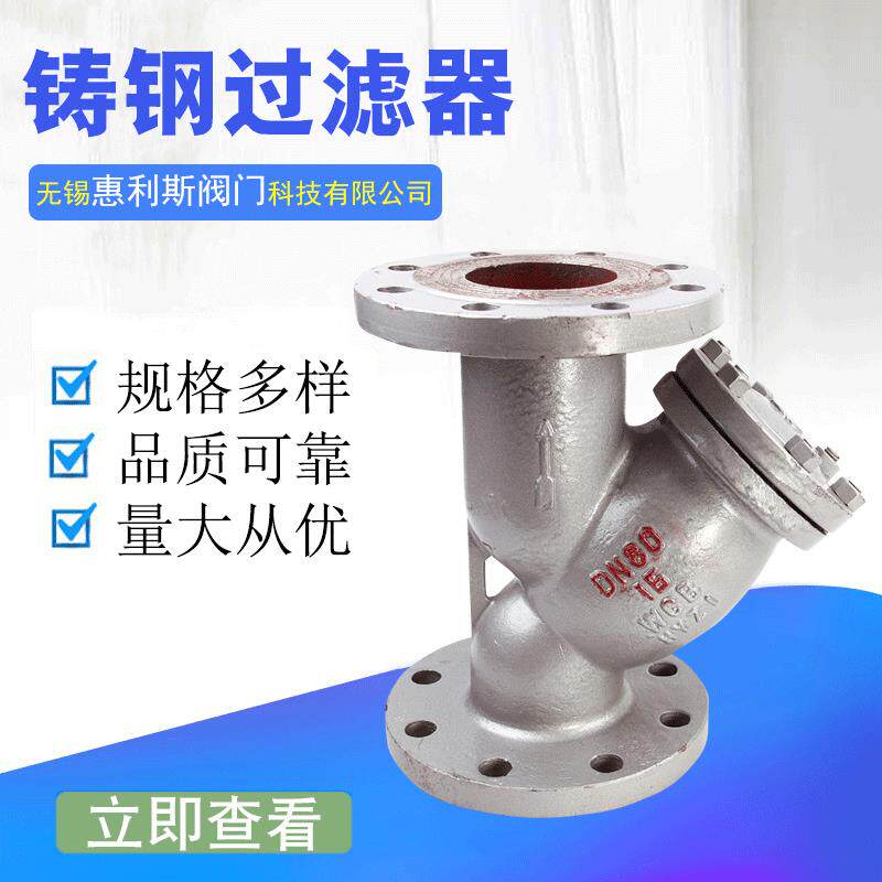 GL41H-16C铸钢法兰过滤器蒸汽滤网过滤器Y型法兰过滤器DN100