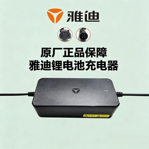 雅迪电动车充电器48V2A3A原厂