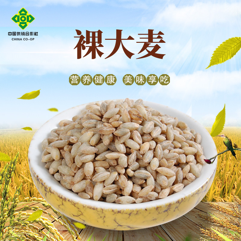 高原杂粮大麦400gx3袋甘肃