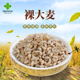 高原杂粮裸大麦400gx3袋五谷杂粮粗粮甘肃会宁特产粮糙米新品