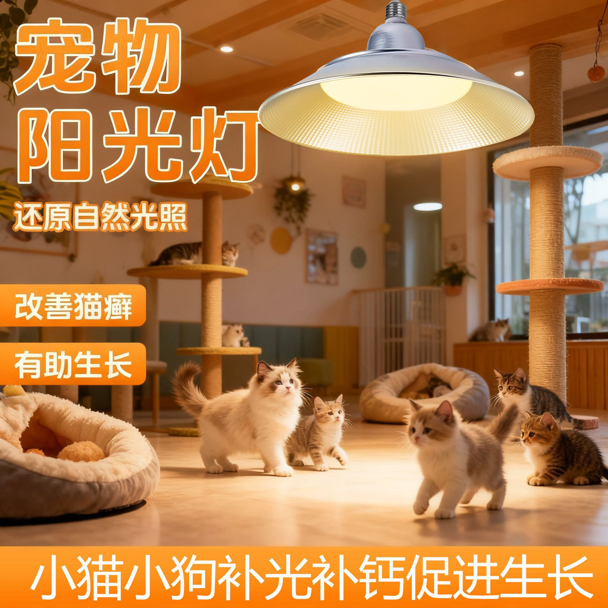 小狗小猫窝灯全光谱宠物补光灯ledUVA补钙防猫藓呵护分健康生长灯,宠物/宠物食品及用品,逗猫棒,淘宝优惠券,粉丝福利购,淘宝优惠卷
