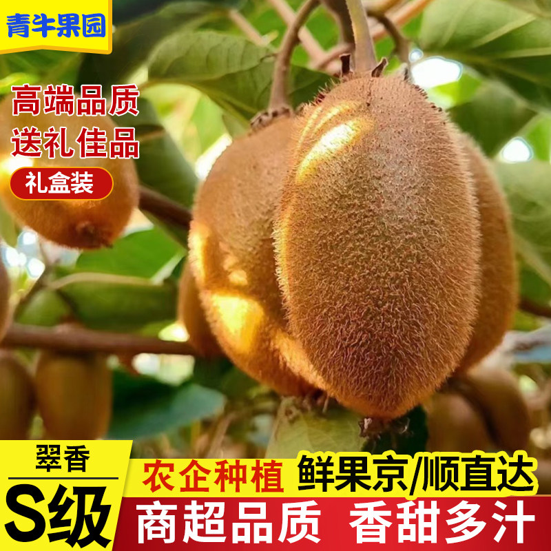 青牛果园周至翠香猕猴桃礼盒