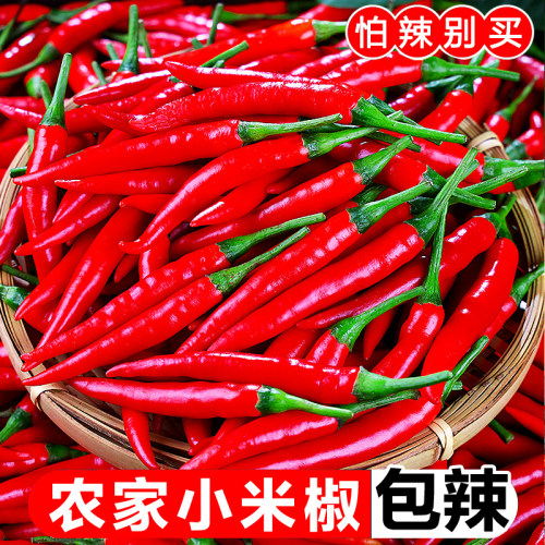 云南小米辣新鲜红辣椒特辣食用农产品辣椒