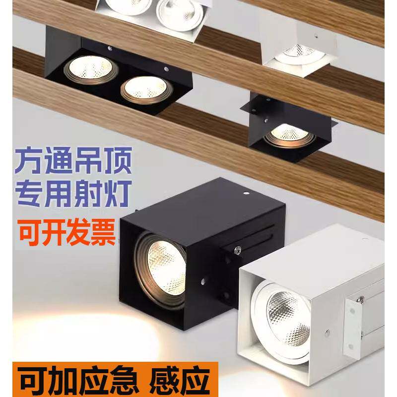 铝方通射灯专用筒灯LED格栅双头方形cob射灯明装店铺商用斗胆灯