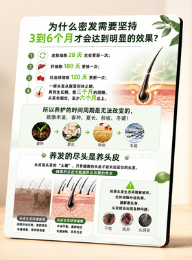 头皮密发周期科普门店展示摆件