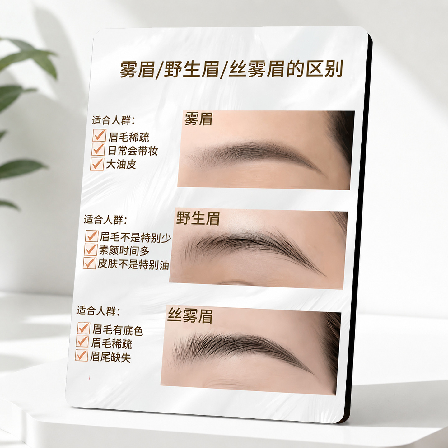 雾眉野生眉丝雾眉区别宣传牌纹绣店美业门店装饰挂画摆台