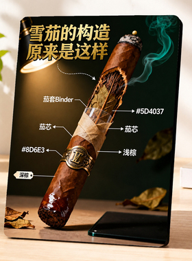 雪茄结构科普展示摆件吸客引流