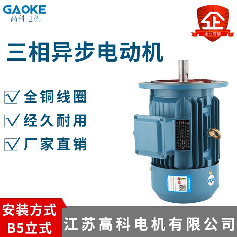 江苏高科YE3三相异步马达立式凸缘B5纯铜国标交流马达380V
