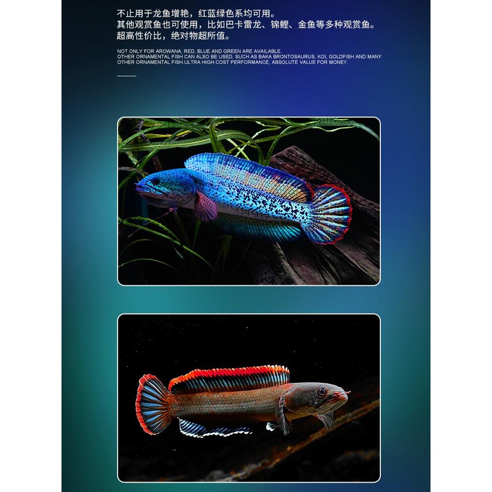 马寅神灯加雷龙三原色红龙鱼专用灯鹦鹉增色鱼缸灯水族照明Led