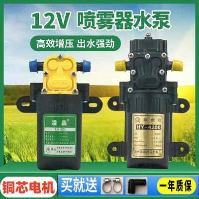 农用12V高压水泵电动喷雾器电机喷雾器水泵高压大功率隔膜泵自吸