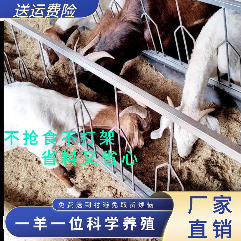 家用养殖喂羊槽子羊颈夹定位羊槽输送带食槽羊料双面加厚定位颈夹