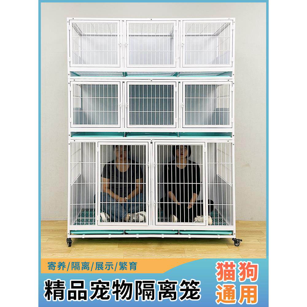 小胖宠物店寄养隔离笼狗笼景区超市中小型狗展示笼养殖猫笼