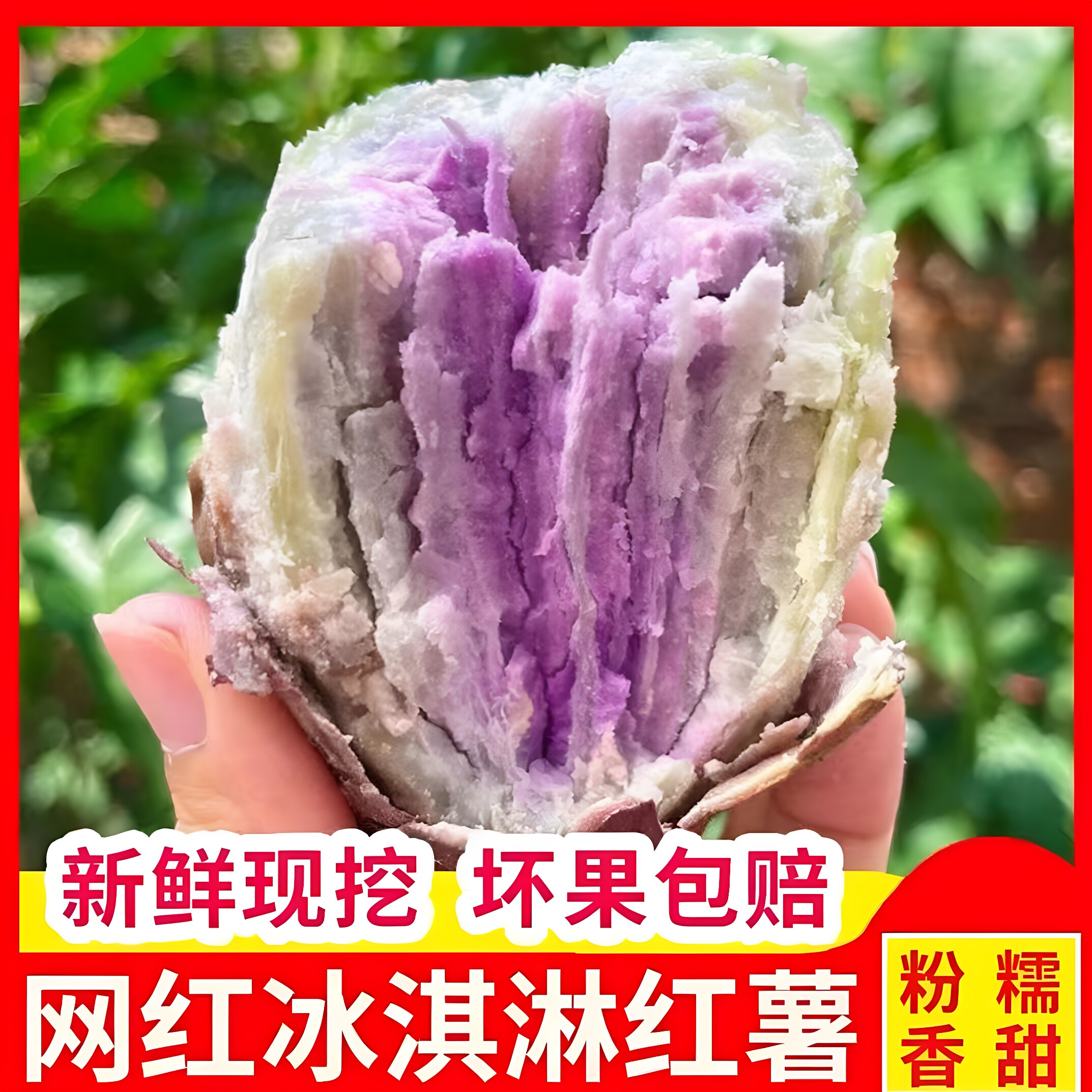 广东茂名正宗一点红糖心紫薯新鲜