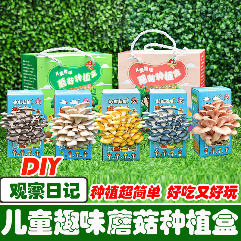 蘑菇种植菌平菇蘑菇盒家庭室内种植蘑菇科学小实验儿童益智玩具YL
