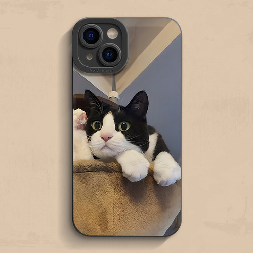奶牛猫咪iPhone17手机壳