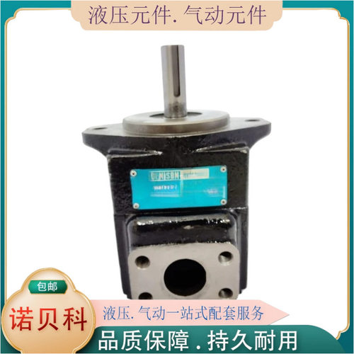 法国  DENISON 丹尼逊  叶片泵  T67CB 014 B02 1R24 A1M1  pump