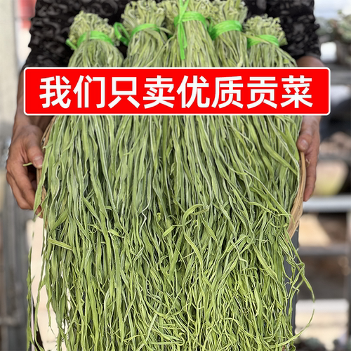 云南农家贡菜干商用8斤1箱大理精选干贡菜火锅曹氏辣卤凉拌菜食材
