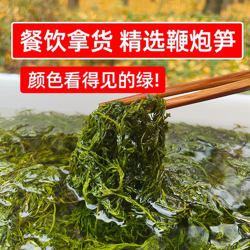 今年新鲜鞭炮笋10斤精选马尾藻长寿菜火锅海草餐饮商用凉拌菜食材