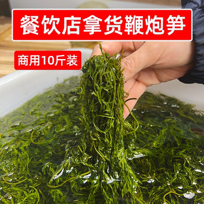餐饮店拿货鞭炮笋10斤商用精选马尾藻长寿菜龙须海草火锅烫菜食材