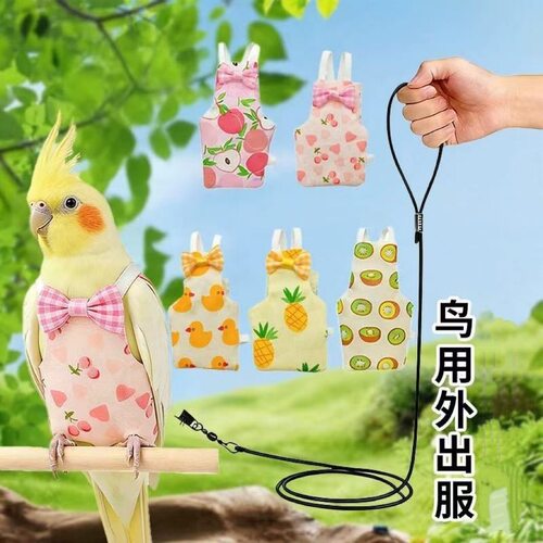 超轻便携卡通鹦鹉外出牵引绳