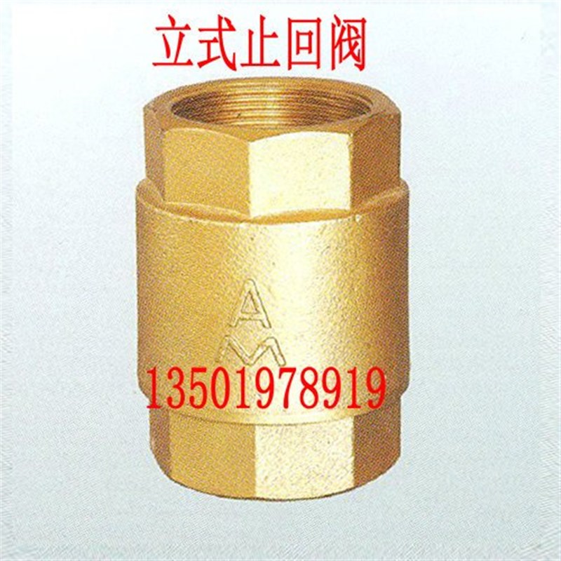 埃美柯 H12X-16T埃美柯黄铜立式丝口止回阀,单向阀,逆止阀 DN50