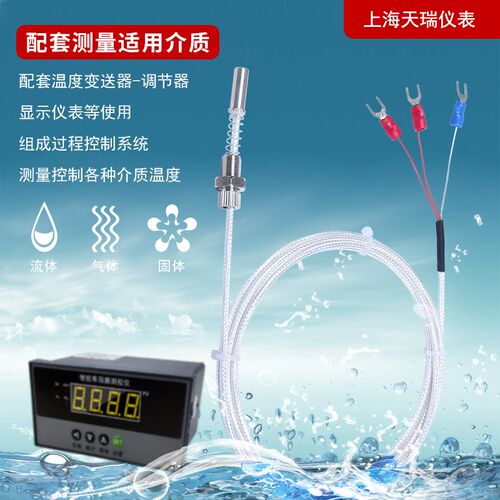 端面热电阻WZPM-201m8*0.75轴瓦测温探头pt100温度传感器轴承专用