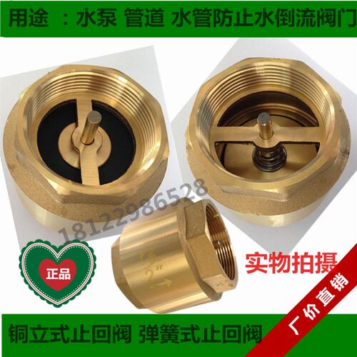 簧铜立式止回阀 弹簧单向阀止逆阀水泵阀4付6分DN40 50 65 80 100