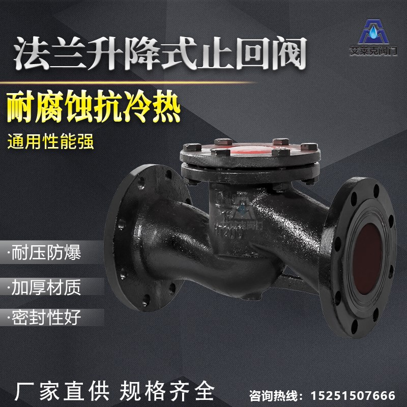 H41T-16升降式止回阀 铸铁铜芯法兰止回阀DN40 50 80 100 150 200