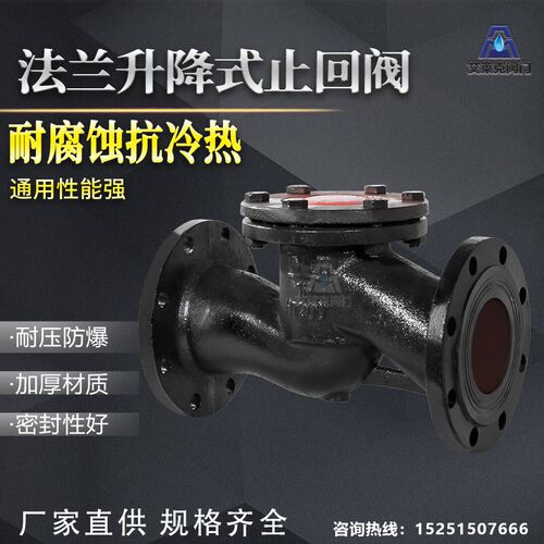 H41T-16升降式止回阀 铸铁铜芯法兰止回阀DN40 50 80 100 150 200