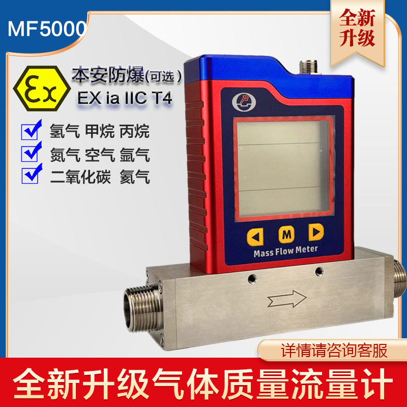 数显高精度防爆气体质量流量计可测量天然气甲烷丙烷氢气氦气