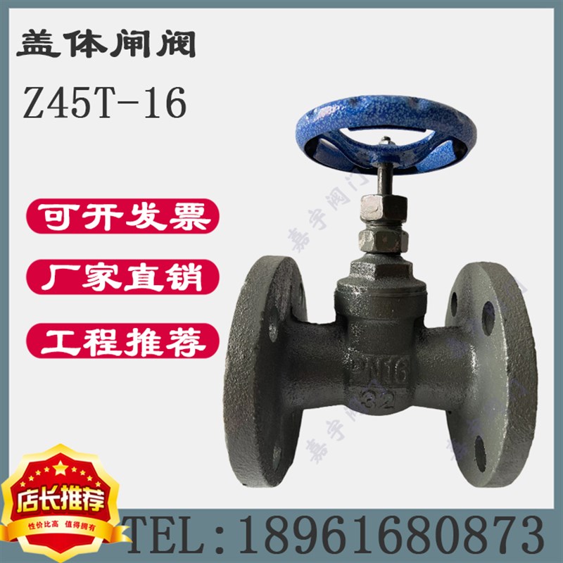 Z45T-16铸铁盖体闸阀法兰铜芯闸阀水阀管道开关 DN25 32 40 50 65