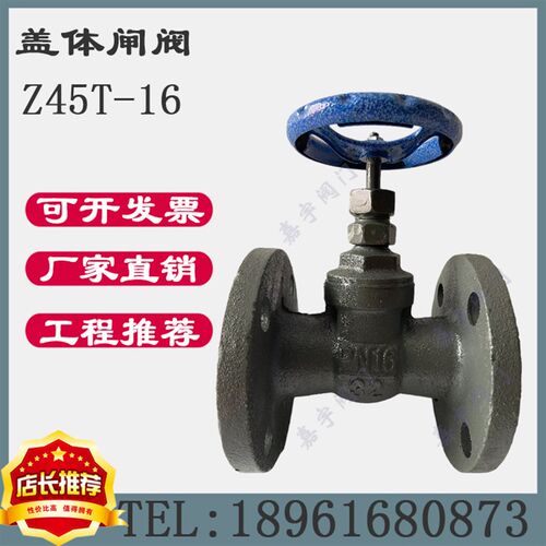 Z45T-16铸铁盖体闸阀法兰铜芯闸阀水阀管道开关 DN25 32 40 50 65
