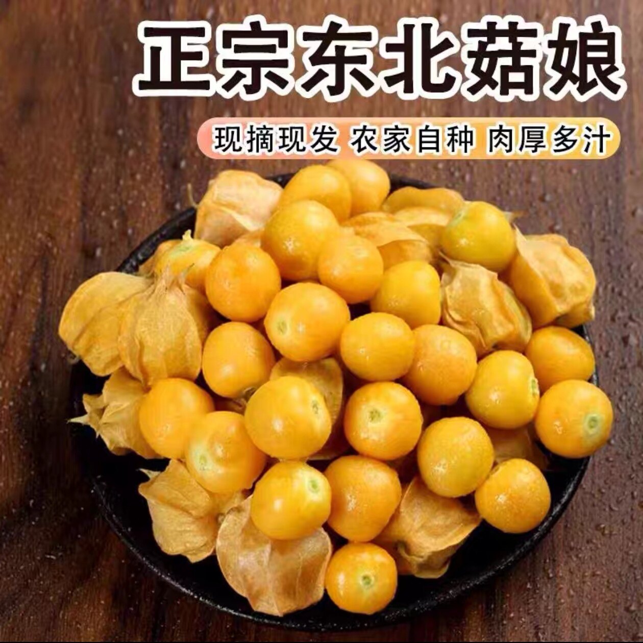 东北姑娘果灯笼果黄姑娘现摘现发