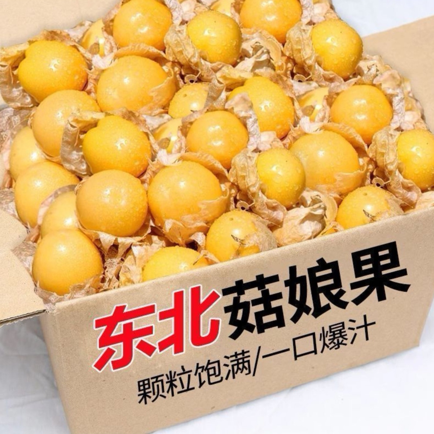 黑龙江海伦菇娘果黄姑娘灯笼果金姑娘新鲜水果大姑娘现摘现发整箱