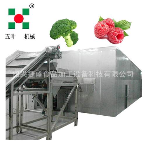 全自动流态化速冻机 1000kg/h 冻结草莓等水果生产线