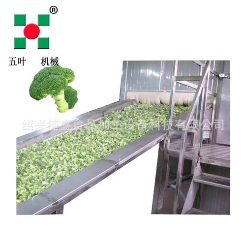 五叶捷盛流态化速冻机 可控速传送带 毛豆树莓玉米粒体速冻机